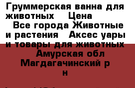 Груммерская ванна для животных. › Цена ­ 25 000 - Все города Животные и растения » Аксесcуары и товары для животных   . Амурская обл.,Магдагачинский р-н